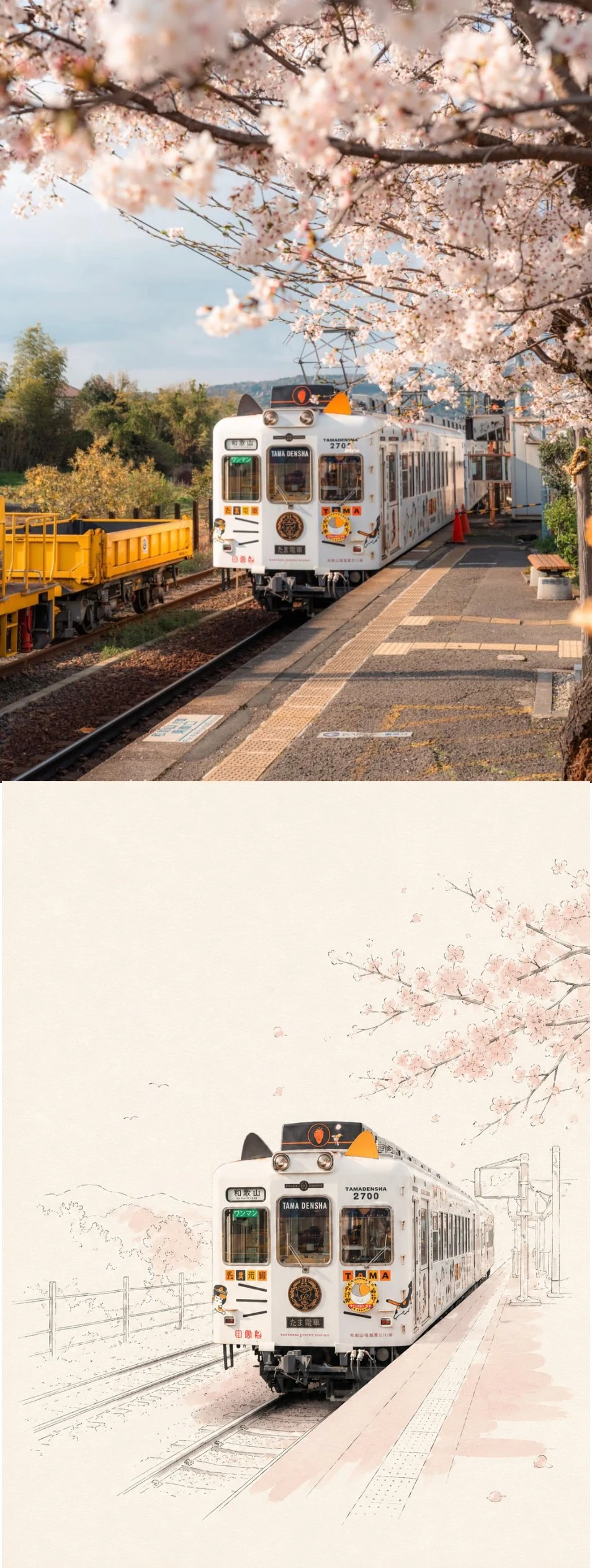 Japanese train station with cherry blossoms