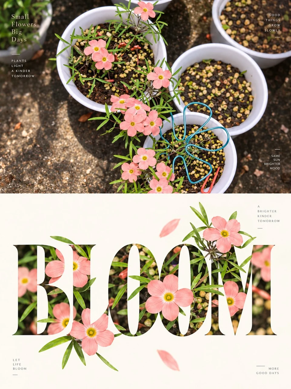 Vertical typographic poster with pink flowers and