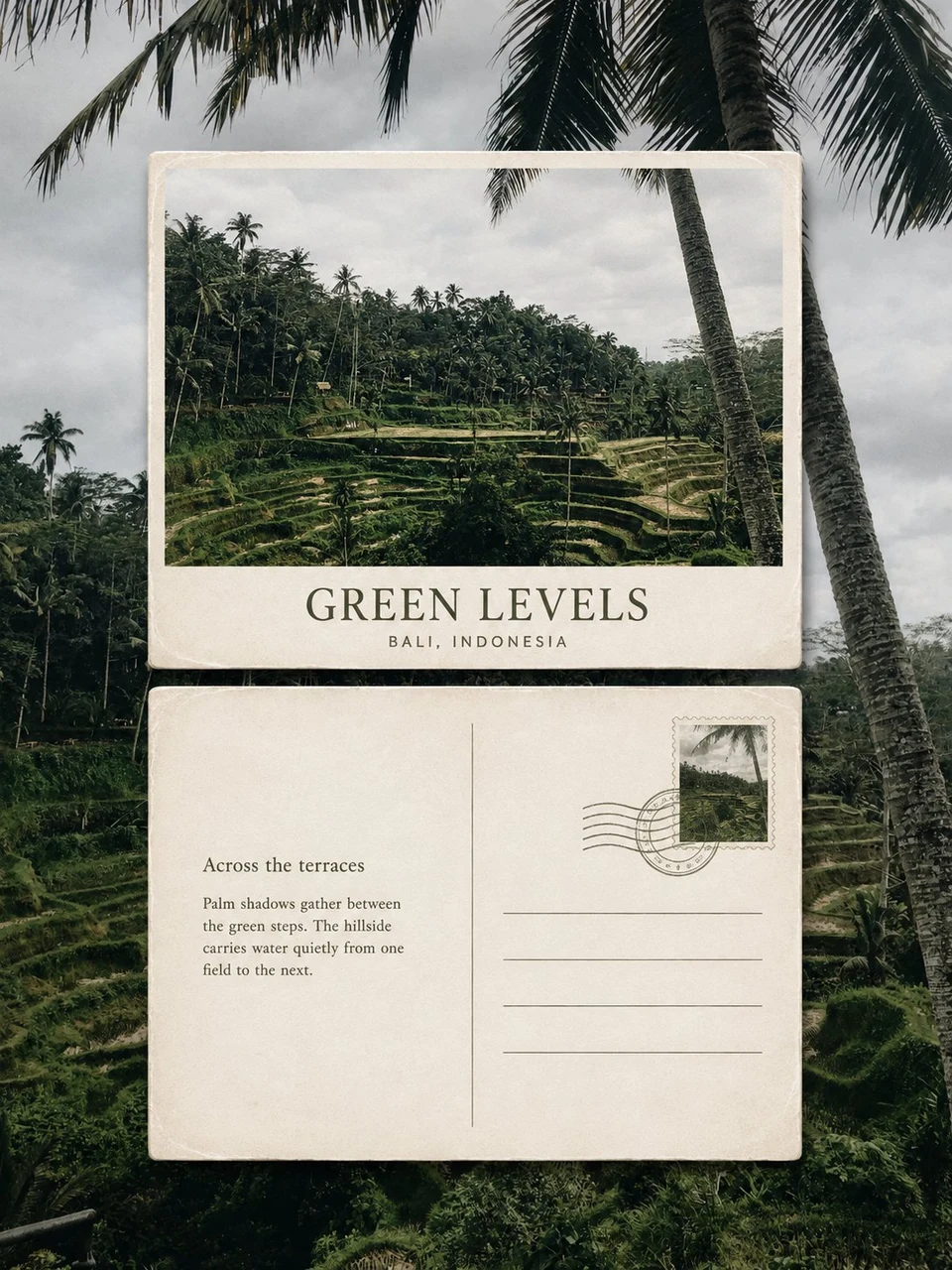 Bali terraces postcard poster with palm trees