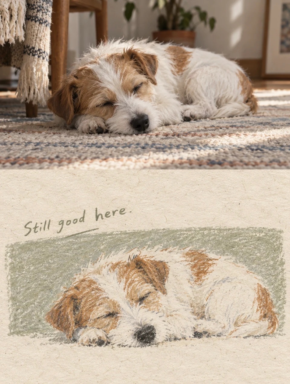 split-composition sleeping dog photo and wax pastel